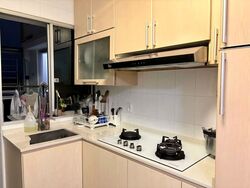 Blk 254 Bangkit Road (Bukit Panjang), HDB Executive #582250061
